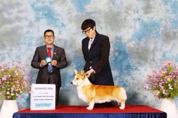 JERRY 比赛照片.JPG