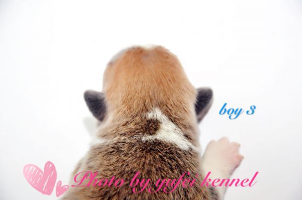 IMG_9753.JPG