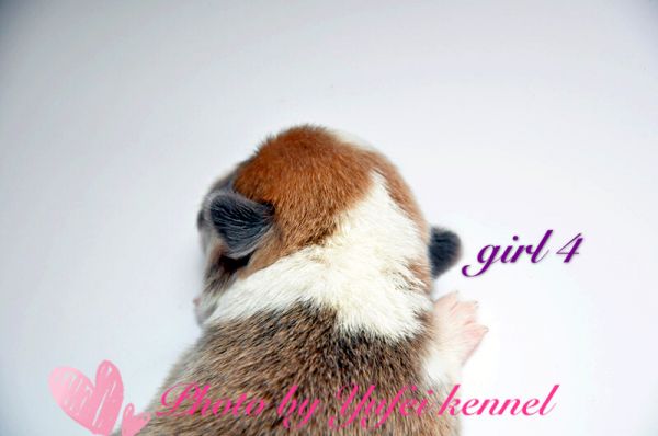 IMG_9808.JPG