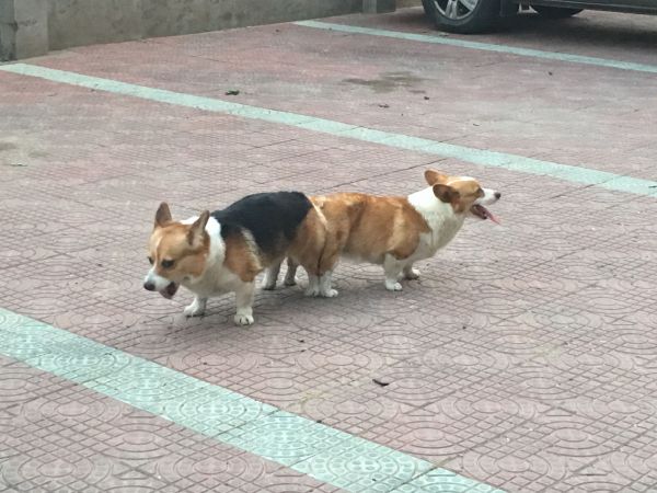 QQ图片20160711164636.jpg