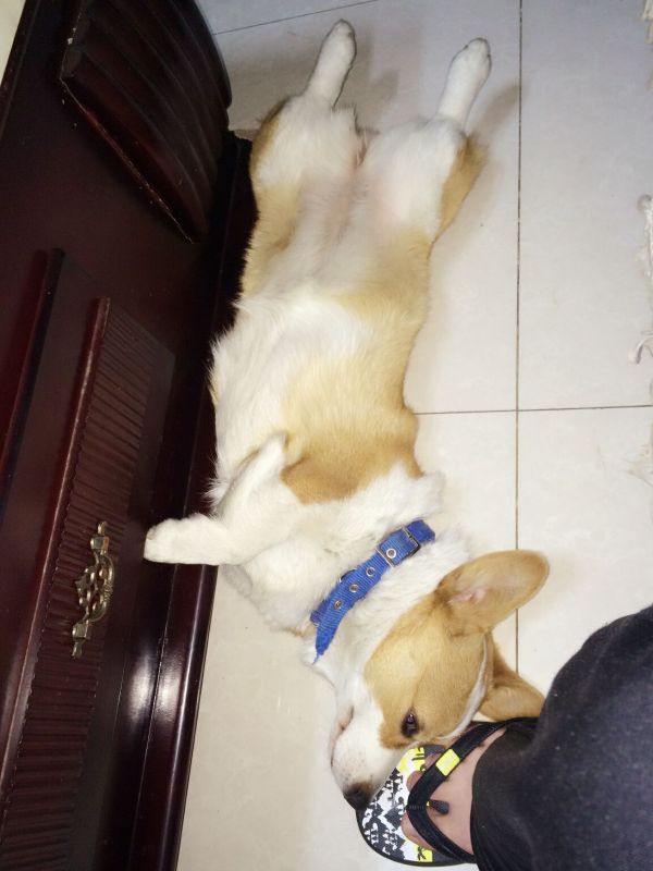 摩卡3.jpg