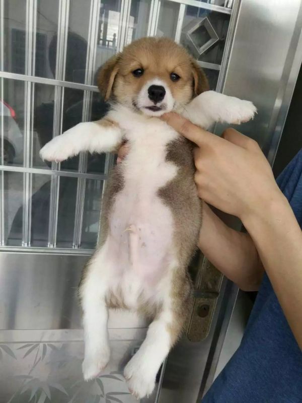 image.jpg