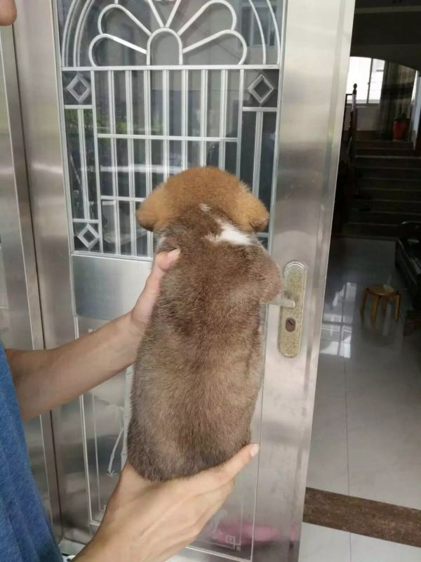 image.jpg