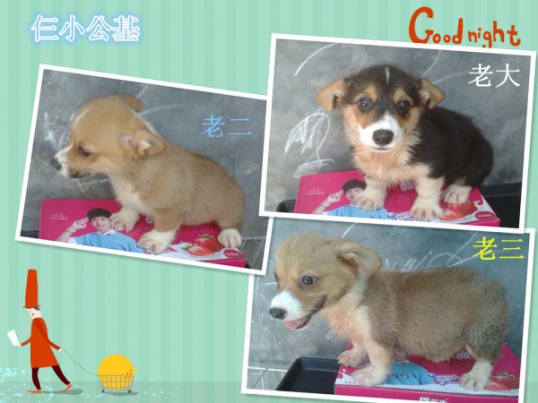 92EC1913D5FCA33122BEC76D1FF170A2_副本.jpg