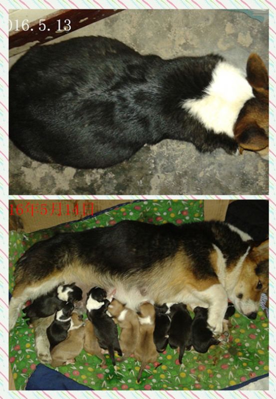 20160512_203158母乳 拼_副本.jpg