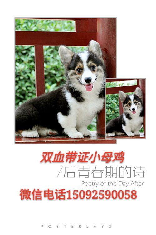 QQ图片20160724104023_副本.jpg