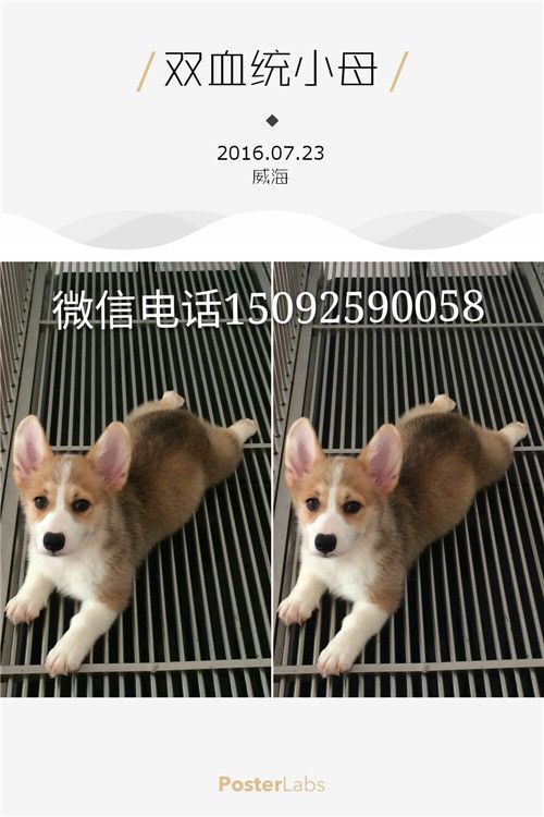 QQ图片20160724104033_副本.jpg