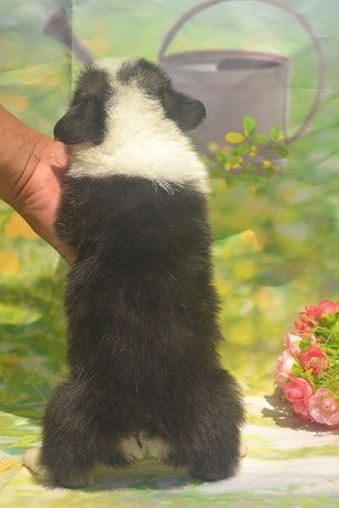 公4··.JPG