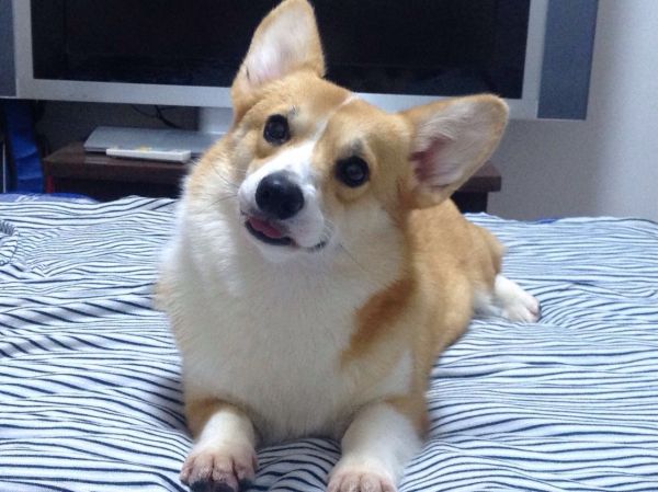 image.jpg