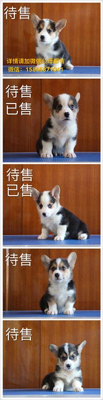 IMG_7867_副本.jpg