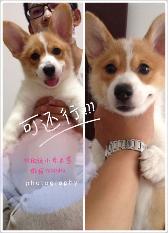 QQ图片20160802185603.jpg