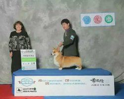 父亲
