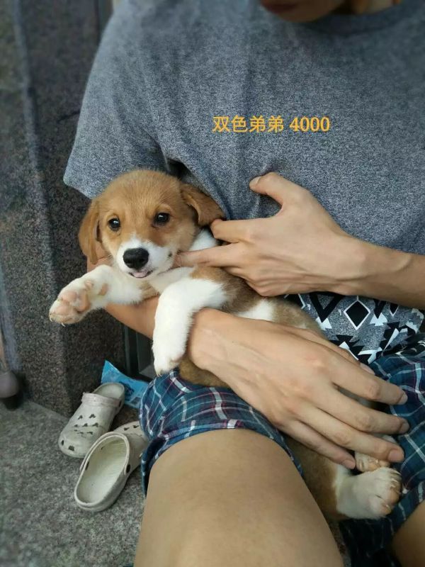 image.jpg