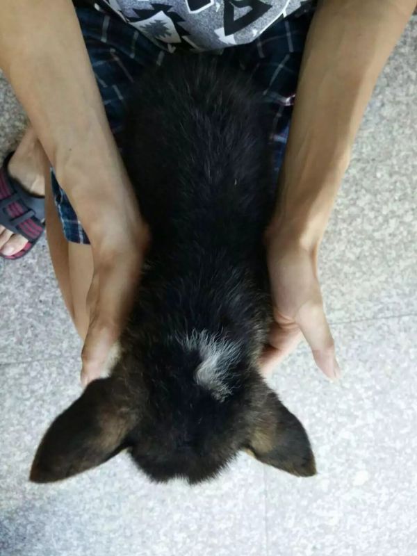 image.jpg