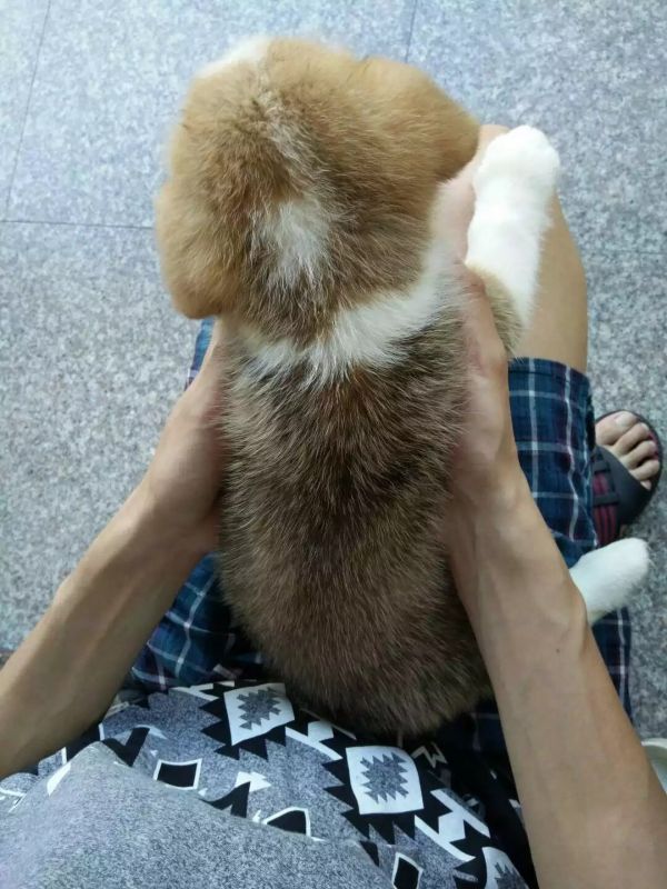 image.jpg
