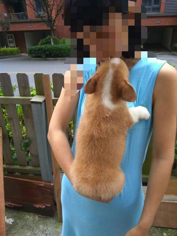 1#反面.jpg