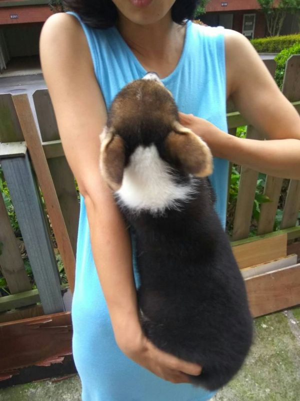 2#反面.jpg