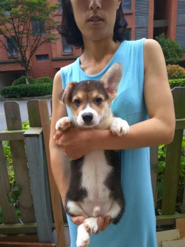 2#正面.jpg