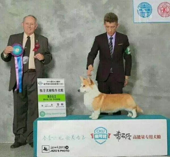 BOBO赏励.jpg