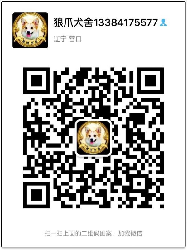 QQ图片20160627171424.jpg