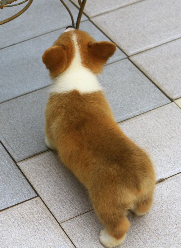 IMG_2146.jpg