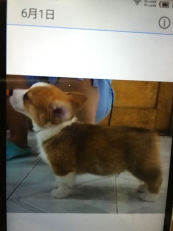 image.jpeg