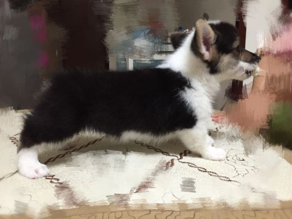 2016-06-27 232320_调整大小.jpg