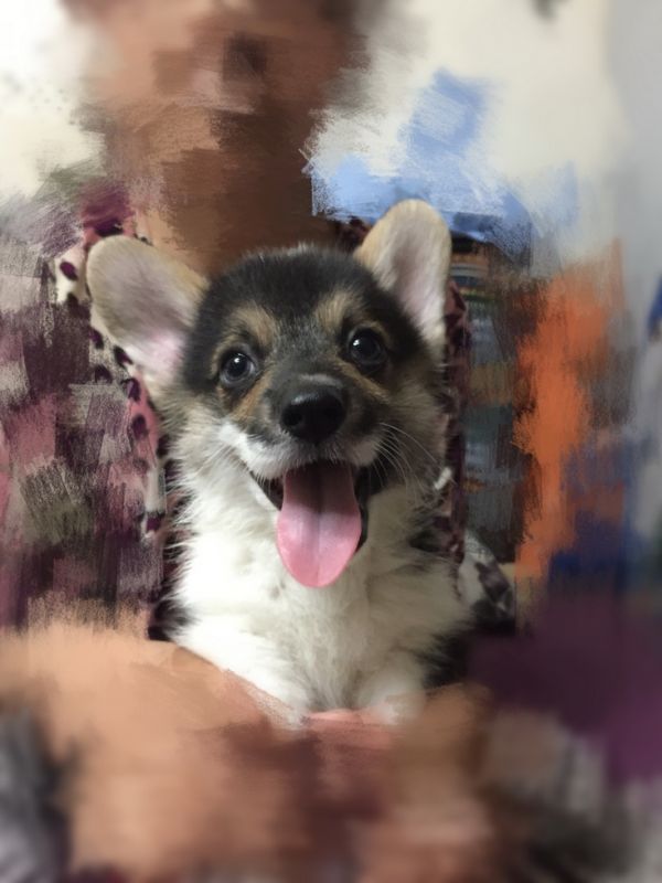 2016-06-27 232621_调整大小.jpg