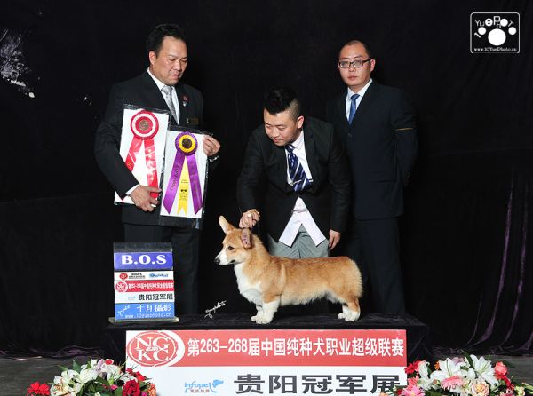 2016-02-23 205924.jpg