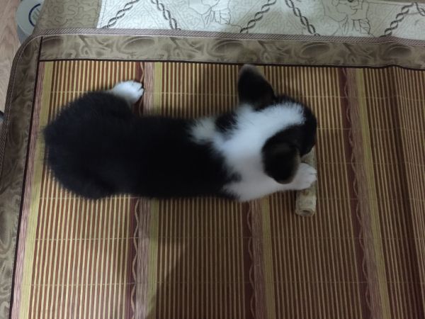 2016-06-28 000610_调整大小.jpg