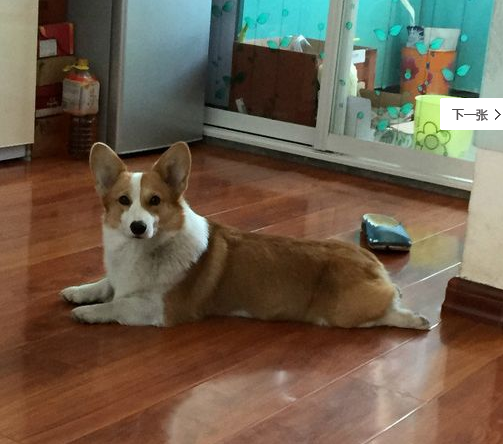 QQ图片20160713125913.png