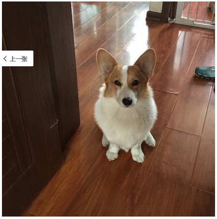 QQ图片20160713125934.png