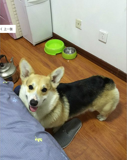 QQ图片20160713130035.png