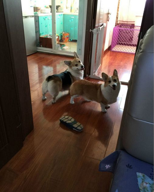 QQ图片20160713130118.png