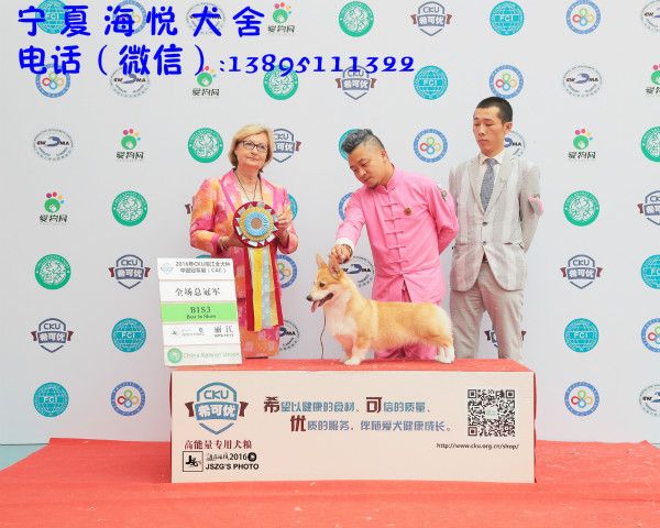 JS036426－2000_meitu_5.jpg