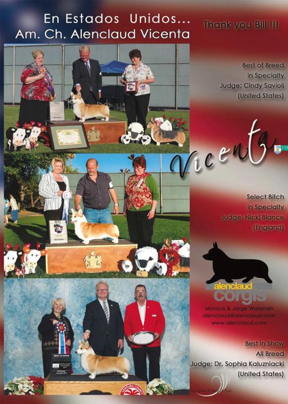 psb (5).jpg
