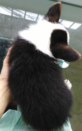 一弟弟