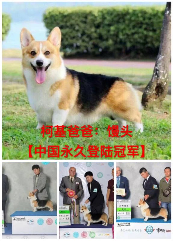 QQ截图20160829115406.jpg