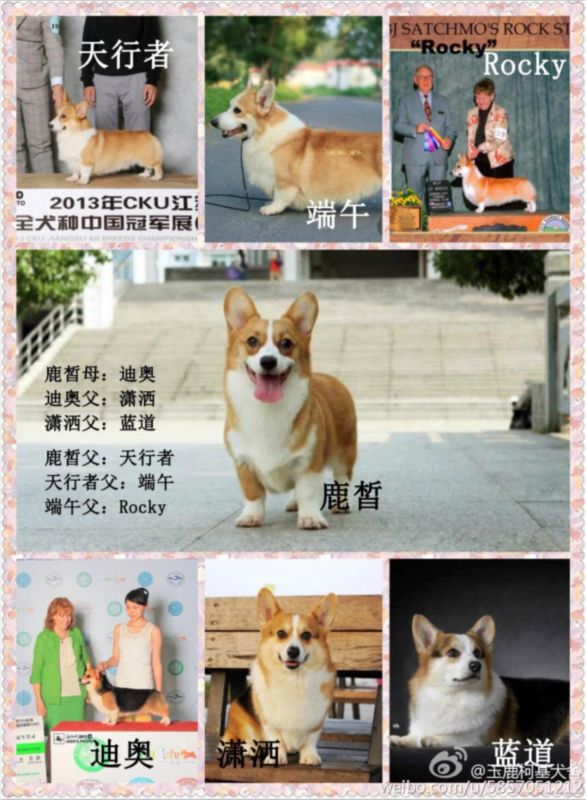 QQ截图20160829115753.jpg
