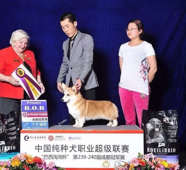 QQ图片20160901224036.jpg