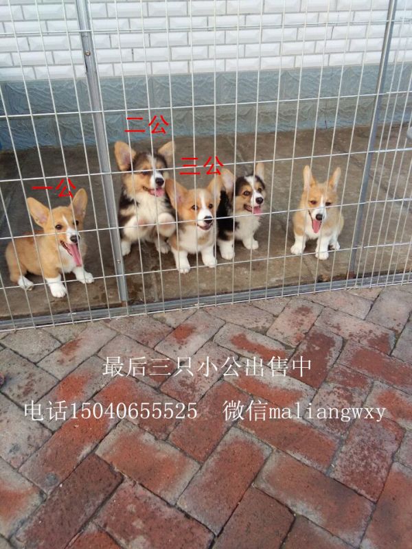 QQ图片20160903193237.jpg