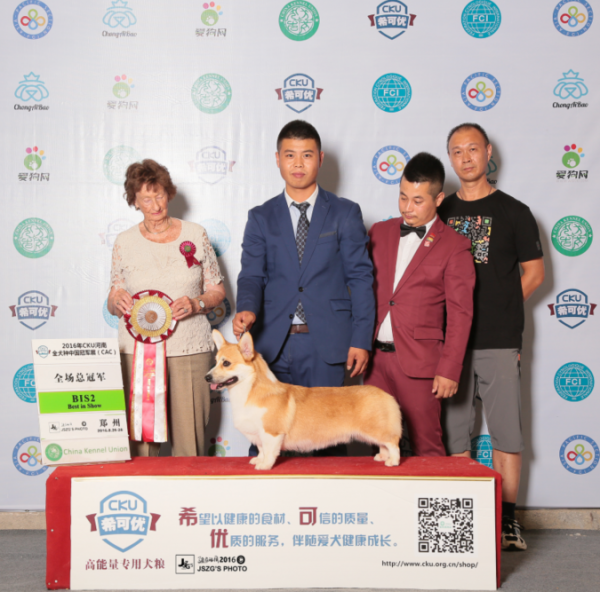 郑州比赛2.png