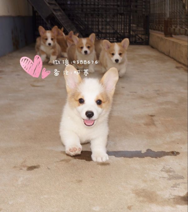 QQ图片20160905110008.jpg