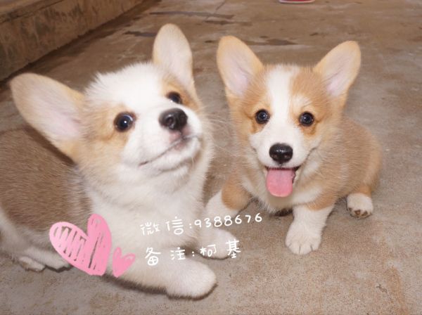QQ图片20160905110036.jpg