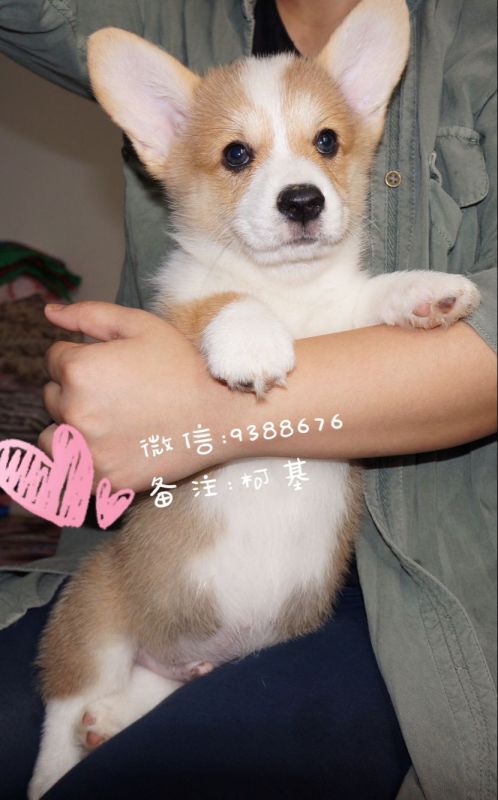 QQ图片20160905110123.jpg