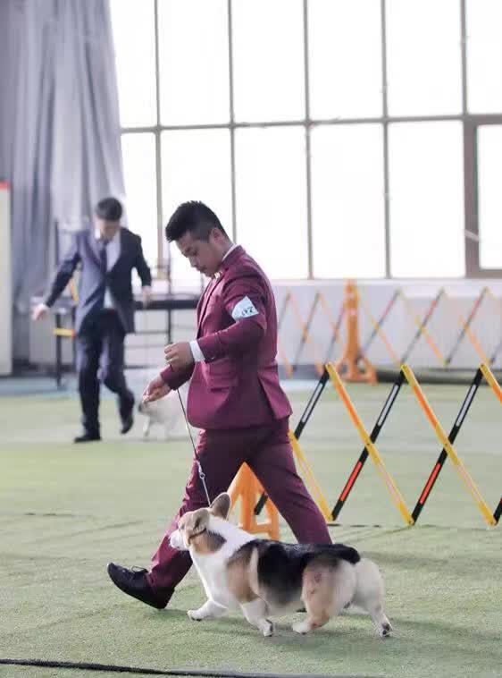 薯片