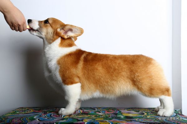 IMG_7587.JPG