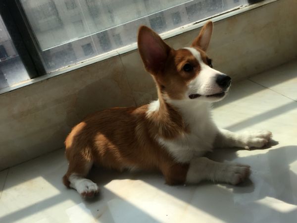 我两节课IMG_9491.jpg