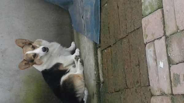 20160913_115124.jpg