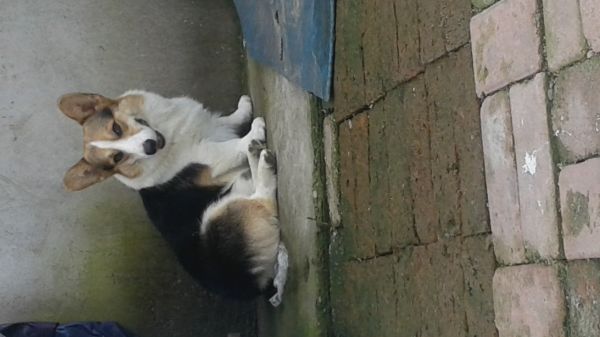 20160913_115122.jpg